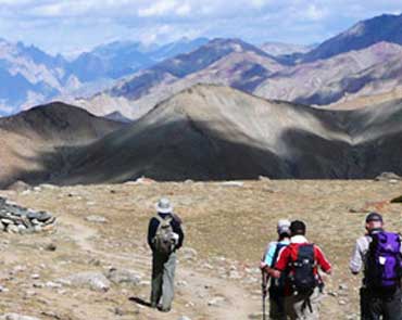 trekking Climbing Yak Camp in ladakh